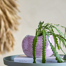 Load image into Gallery viewer, Pennie flowerpot