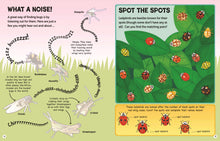 Load image into Gallery viewer, Mini beasts activity book