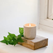 Load image into Gallery viewer, Sand dune pot - bergamot & nettle