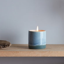 Load image into Gallery viewer, Sea & shore pot - fig tree