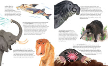 Load image into Gallery viewer, Funny bums freaky beaks hardback book