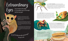 Load image into Gallery viewer, Funny bums freaky beaks hardback book