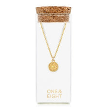 Load image into Gallery viewer, Coin necklace - gold
