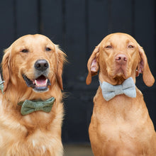 Load image into Gallery viewer, Dog bow ties