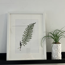 Load image into Gallery viewer, Fabulous ferns 6 print