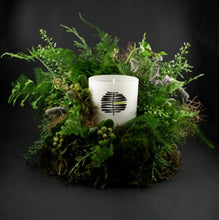 Load image into Gallery viewer, Into the woods candle