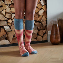 Load image into Gallery viewer, Lambswool knee socks - stripe - pink