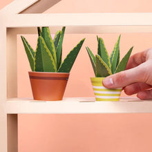 Load image into Gallery viewer, Make your own mindful aloe vera