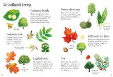 Load image into Gallery viewer, Nature spotting book