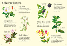 Load image into Gallery viewer, Nature spotting book