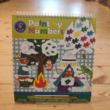 Load image into Gallery viewer, Paint by numbers - adventure