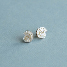 Load image into Gallery viewer, Shell stud earrings