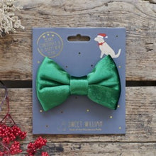 Load image into Gallery viewer, Velvet dog bow ties