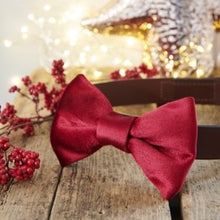 Load image into Gallery viewer, Velvet dog bow ties