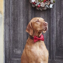 Load image into Gallery viewer, Velvet dog bow ties