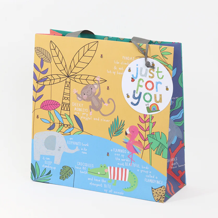 Children's gift bag - medium