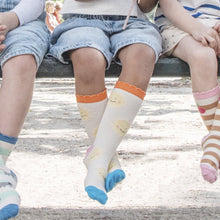 Load image into Gallery viewer, Vintage rainbow & sun socks
