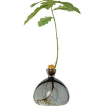 Load image into Gallery viewer, Acorn vases - various colours available