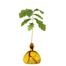Load image into Gallery viewer, Acorn vases - various colours available