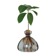 Load image into Gallery viewer, Avocado vases - various colours available