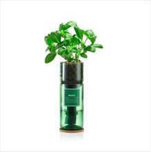 Load image into Gallery viewer, Hydro-herb kits - various herbs