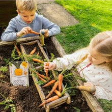 Load image into Gallery viewer, Plantable book - the carrot who was too big for his bed