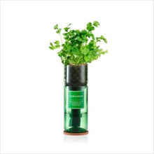 Load image into Gallery viewer, Hydro-herb kits - various herbs