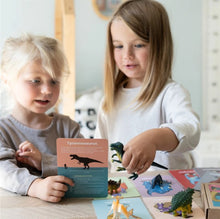 Load image into Gallery viewer, Dinosaur flashcards