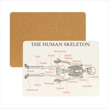 Load image into Gallery viewer, Educational tablemats (set of 4)