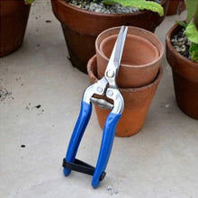 Load image into Gallery viewer, British meadow boxed fruit & flower snip