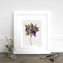 Load image into Gallery viewer, Hellebore - teabag tidy (inc. gift box)
