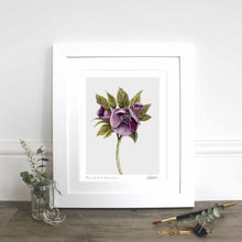 Load image into Gallery viewer, Hellebore mug (inc. gift box)