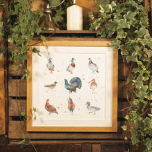 Load image into Gallery viewer, The British Collection: game birds framed print