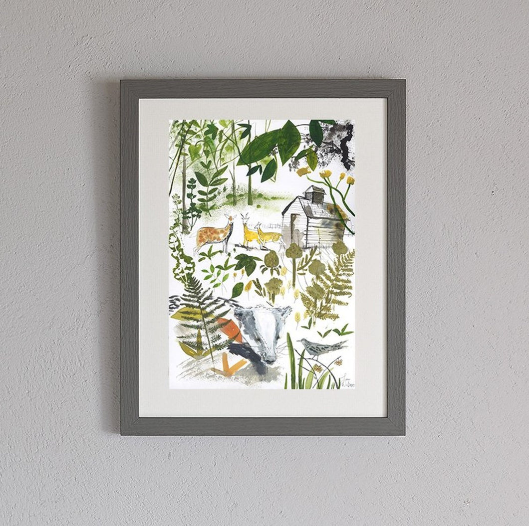 In the woods framed print