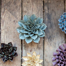 Load image into Gallery viewer, Coral 8 - large - dusk blue