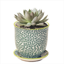 Load image into Gallery viewer, Liberte 3 - pot & sauce - green leaves