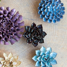 Load image into Gallery viewer, Coral 8 - medium - aqua black