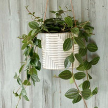 Load image into Gallery viewer, Hanging pot - modena