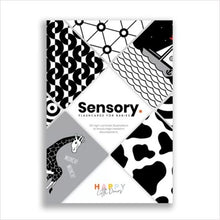Load image into Gallery viewer, Sensory flashcards