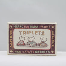 Load image into Gallery viewer, Triplets in matchbox
