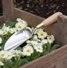 Load image into Gallery viewer, Trowel in a box