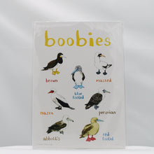 Load image into Gallery viewer, Boobies A4 print