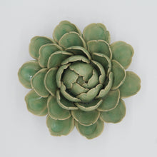 Load image into Gallery viewer, Coral 6 - large succulent green
