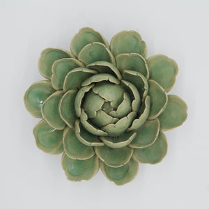 Coral 6 - large succulent green