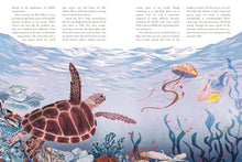Load image into Gallery viewer, Climate rebels book