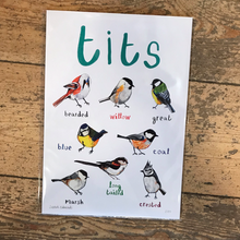 Load image into Gallery viewer, Tits A4 print