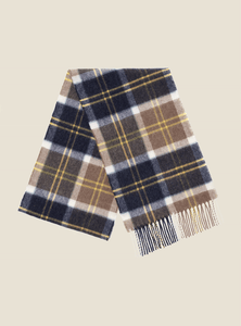 Woodhouse scarf - denim/yellow