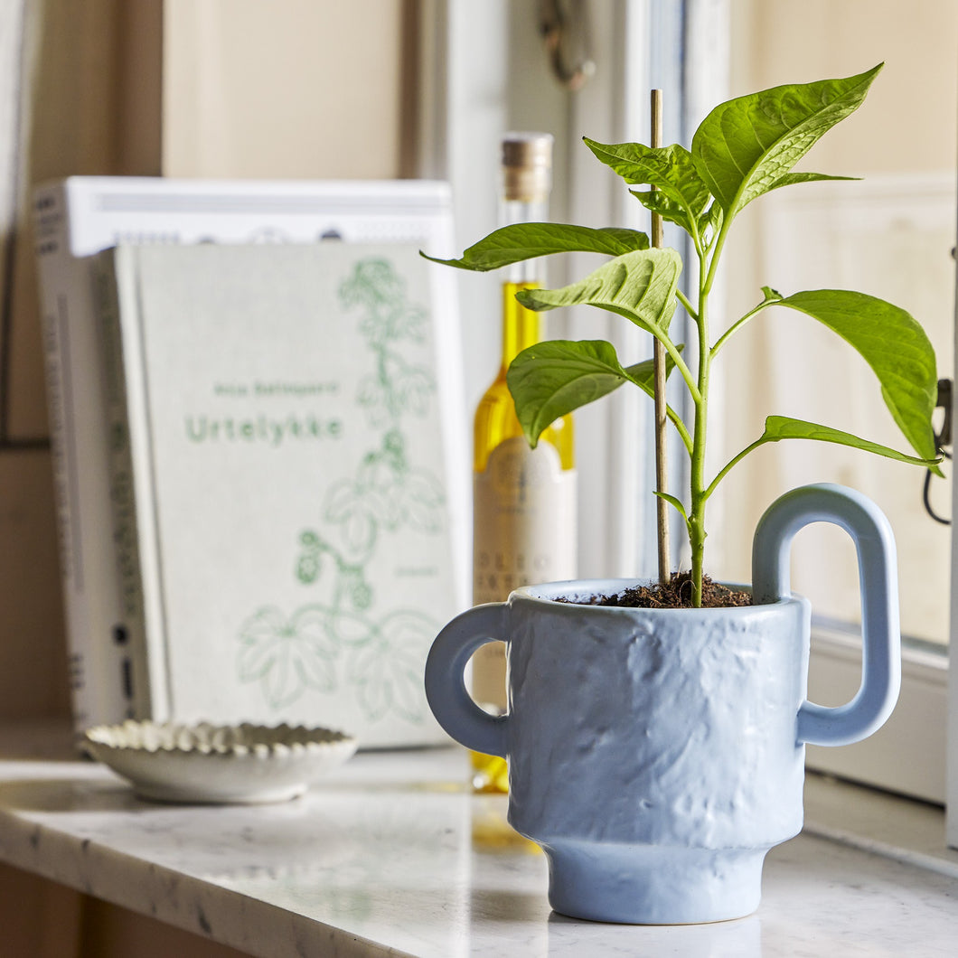 Alfine flowerpot - blue