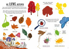 Load image into Gallery viewer, Hello autumn: a sticker activity nature guide book
