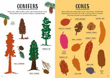 Load image into Gallery viewer, Hello autumn: a sticker activity nature guide book
